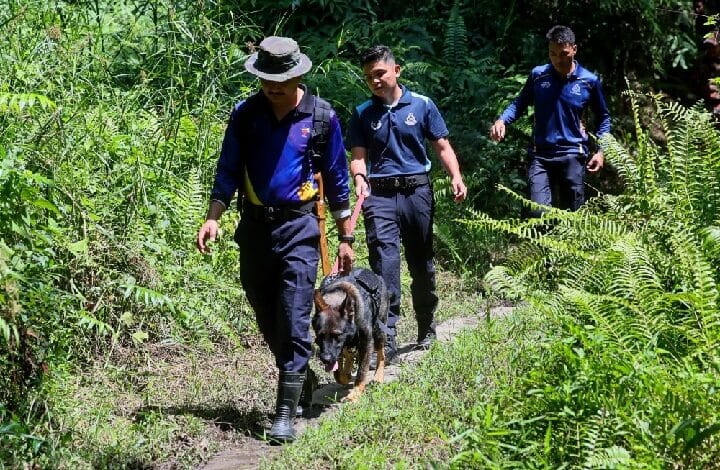Search and rescue team walking a trained dog through a wooded trail.
