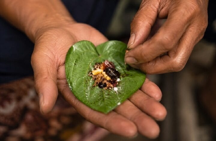 Hands cradle a green betel leaf with paan fillings being prepared for chewing.