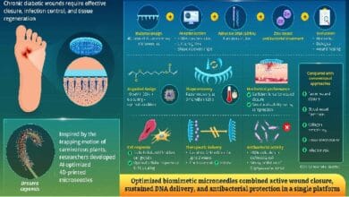 Infographic on AI-guided 4D-printed carnivorous plant–inspired microneedles for accelerated wound healing, showing design steps and evaluation.
