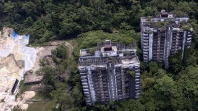 highland tower - Wilayah.com.my Two abandoned high-rise apartment blocks overtaken by dense trees in a forested area.