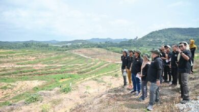 ladang ucam - Wilayah.com.my Group of people in dark clothing stand on a hilltop overlooking terraced farmland on a sunny day.