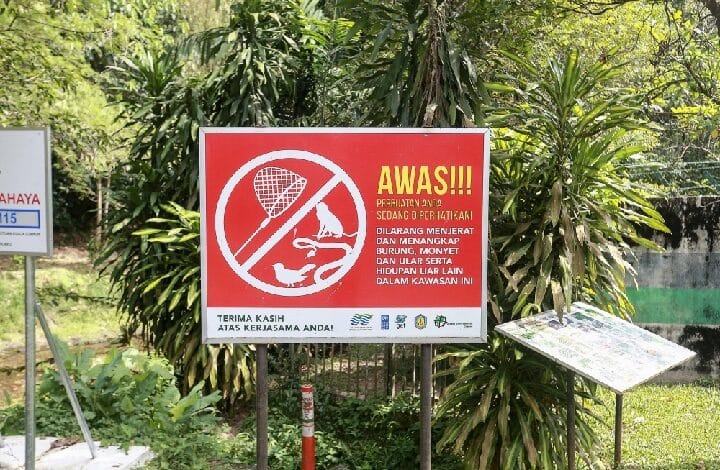 malaysia wildlife - Wilayah.com.my Red no-smoking warning sign in Indonesian with a crossed-out cigarette symbol, posted in a garden setting.