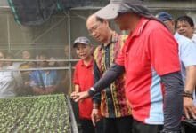 Group of people observing seedling trays in a greenhouse demonstration; man in red shirt guiding others nearby.