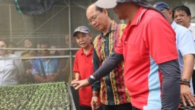 pertanian sabah - Wilayah.com.my Group of people observing seedling trays in a greenhouse demonstration; man in red shirt guiding others nearby.