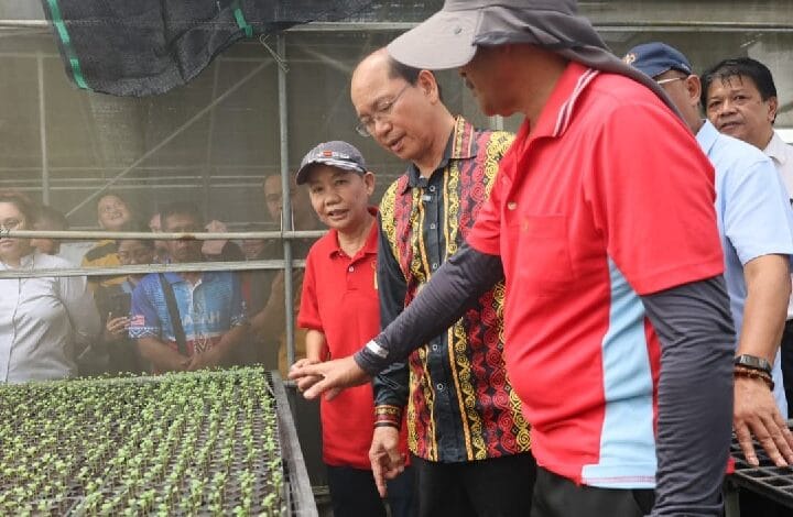 pertanian sabah - Wilayah.com.my Group of people observing seedling trays in a greenhouse demonstration; man in red shirt guiding others nearby.