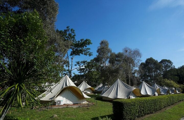 Row of beige canvas tents pitched in a grassy campground under a clear blue sky