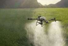 dji 2 - Wilayah.com.my Quadcopter drone spraying a green field, releasing mist over crops at sunset.