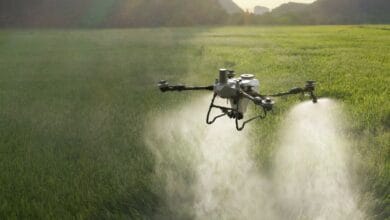 dji 2 - Wilayah.com.my Quadcopter drone spraying a green field, releasing mist over crops at sunset.