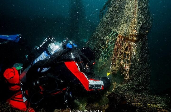 hyundai sea - Wilayah.com.my Underwater scene of a scuba diver in red and black trimming a fishing net tangled around a submerged structure.