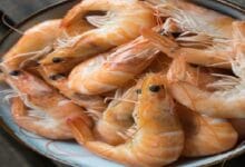prawn dof - Wilayah.com.my Pile of cooked pink-orange shrimp on a white plate, shells and tails visible