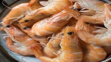prawn dof - Wilayah.com.my Pile of cooked pink-orange shrimp on a white plate, shells and tails visible