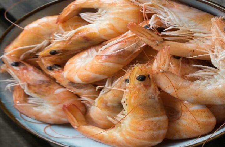 prawn dof - Wilayah.com.my Pile of cooked pink-orange shrimp on a white plate, shells and tails visible