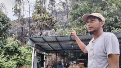Man wearing a beige cap points toward a burnt hillside behind a small shelter and trees in an outdoor setting while looking to the side.